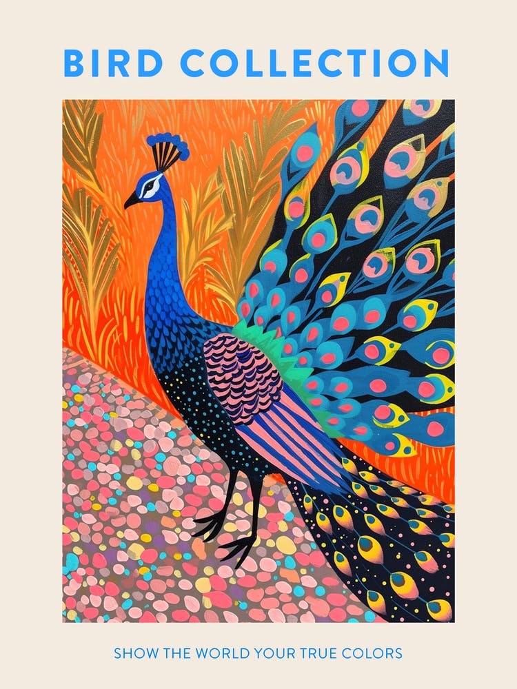 Peacock Feather Patterns Poster