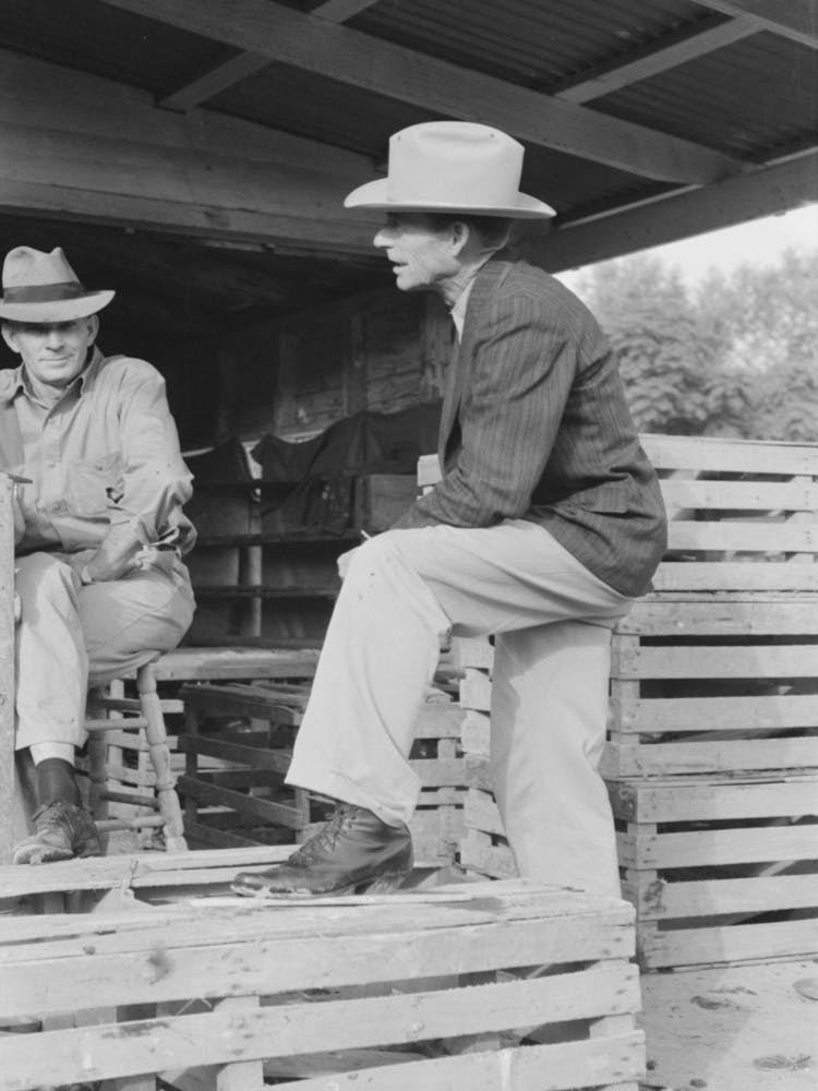 Turkey Raiser At Unloading Platform, Brownwood, Texas By Russell Lee
