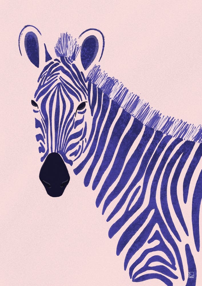 Zebra Can Not Shed Its Stripes