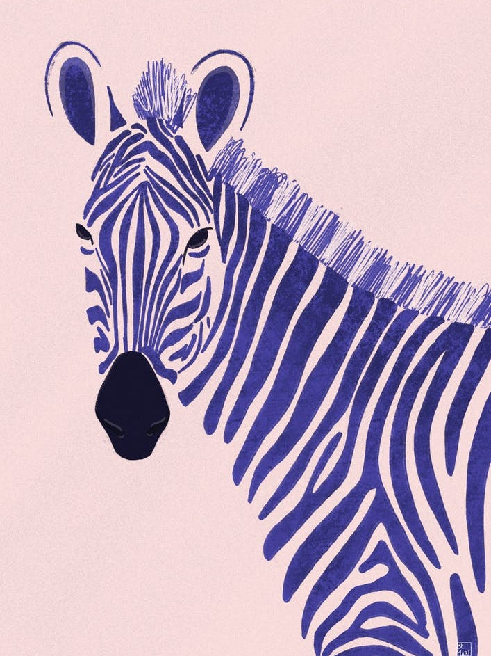 Zebra Can Not Shed Its Stripes