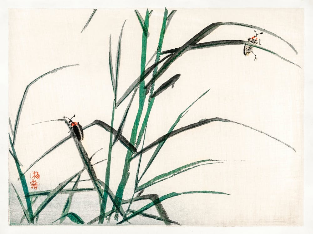 Beetles, Kōno Bairei