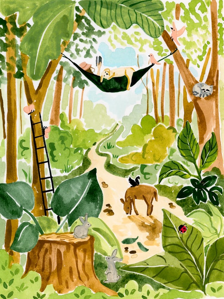 Forest Hammock
