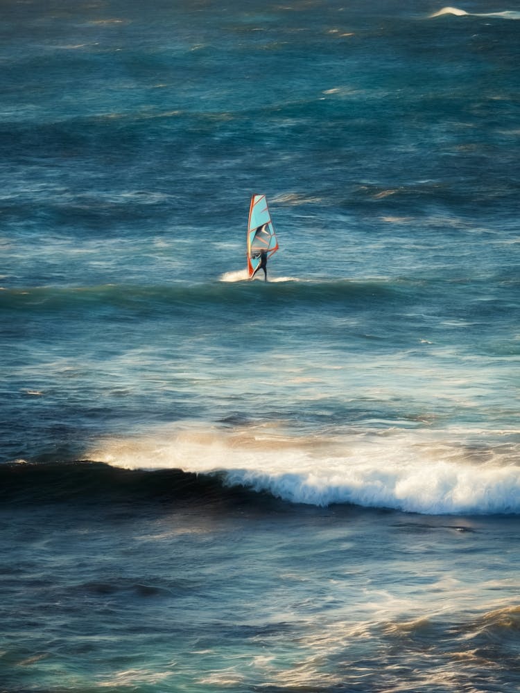 Shoreline Windsurfer