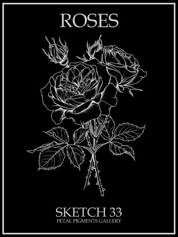 Roses Sketch 33 Poster Inverted