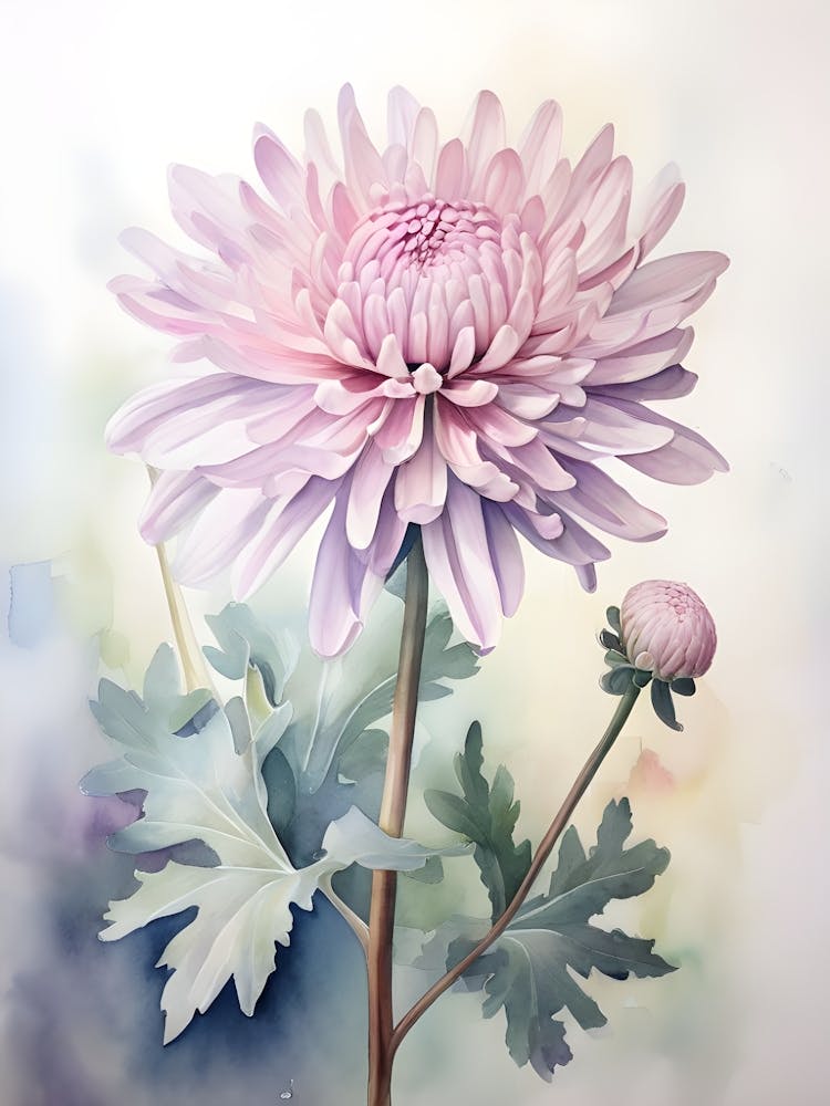 Fleur de chrysanthème à l'aquarelle