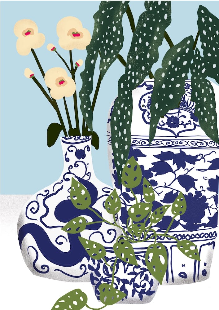 Ginger Jars And White Orchids