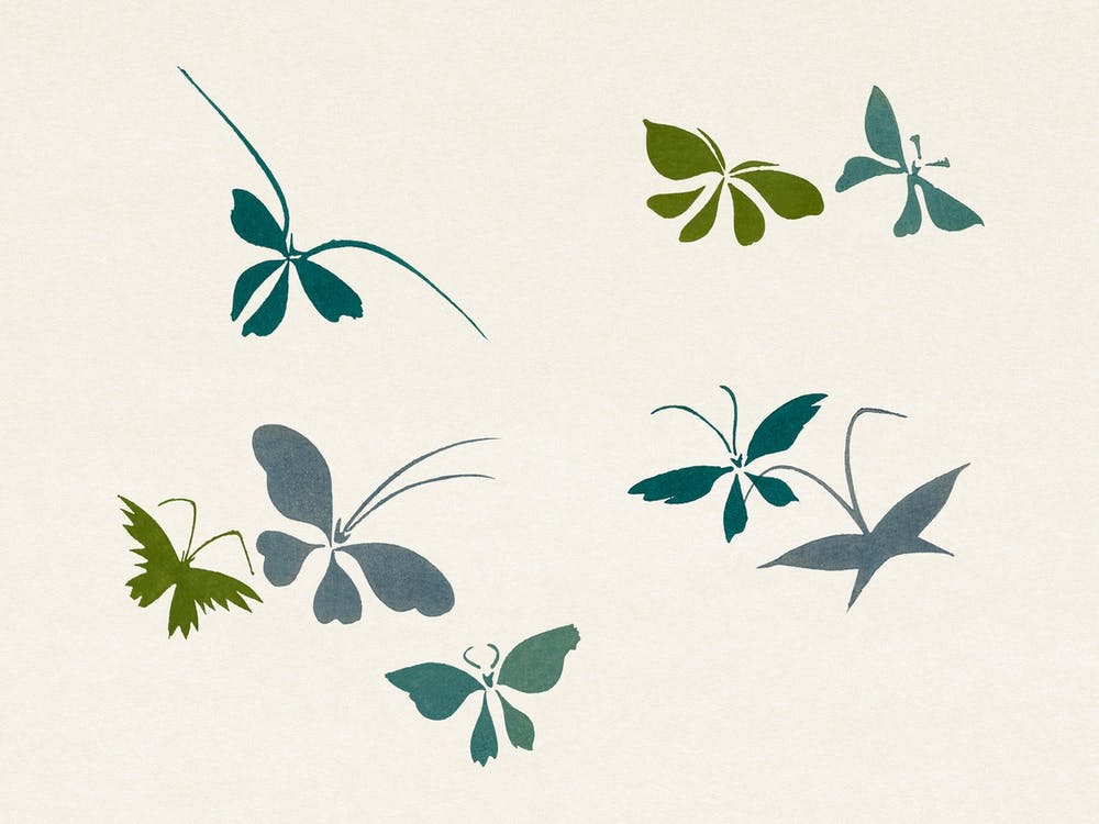 Abstract Butterfly, Cho Senshu 1