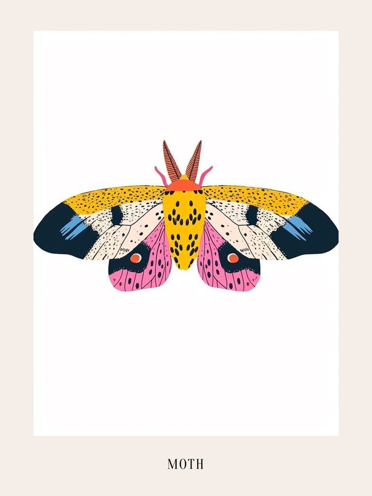 Bunte Insekten-Illustration Motte 7 Poster