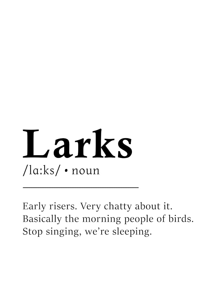 Larks Definition Poster - Dictionary