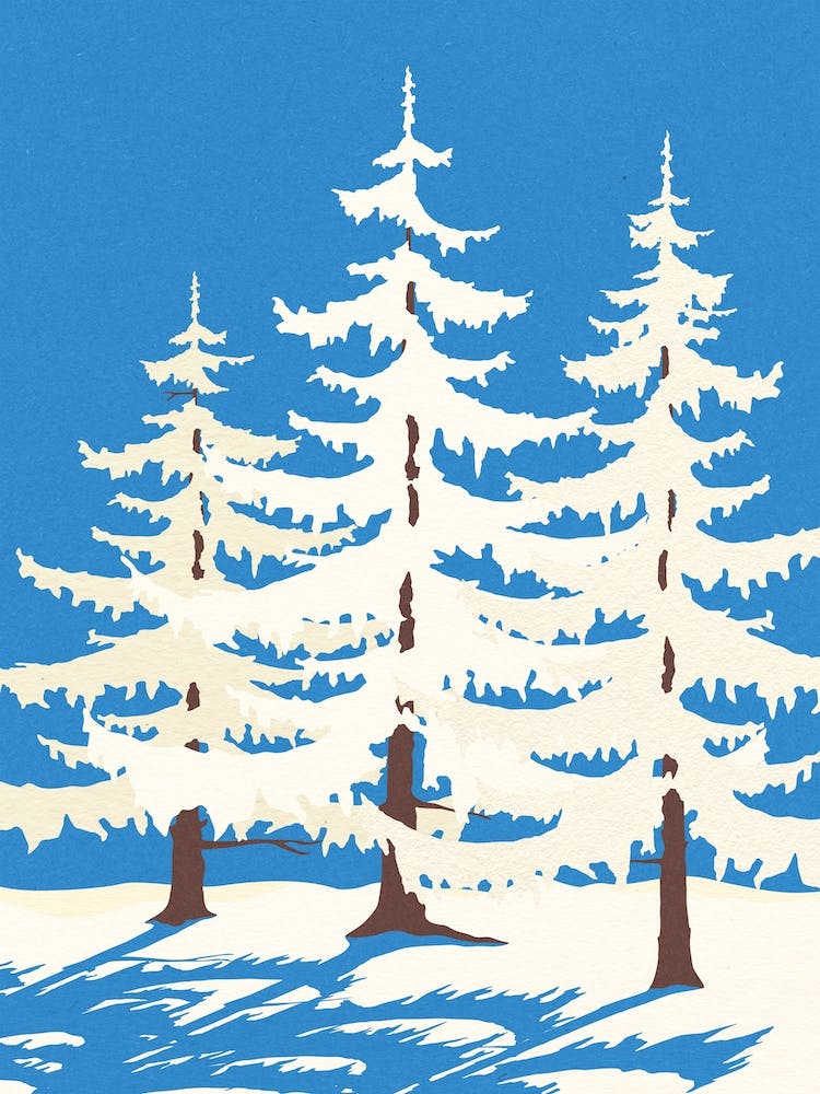 Harz Winter Trees