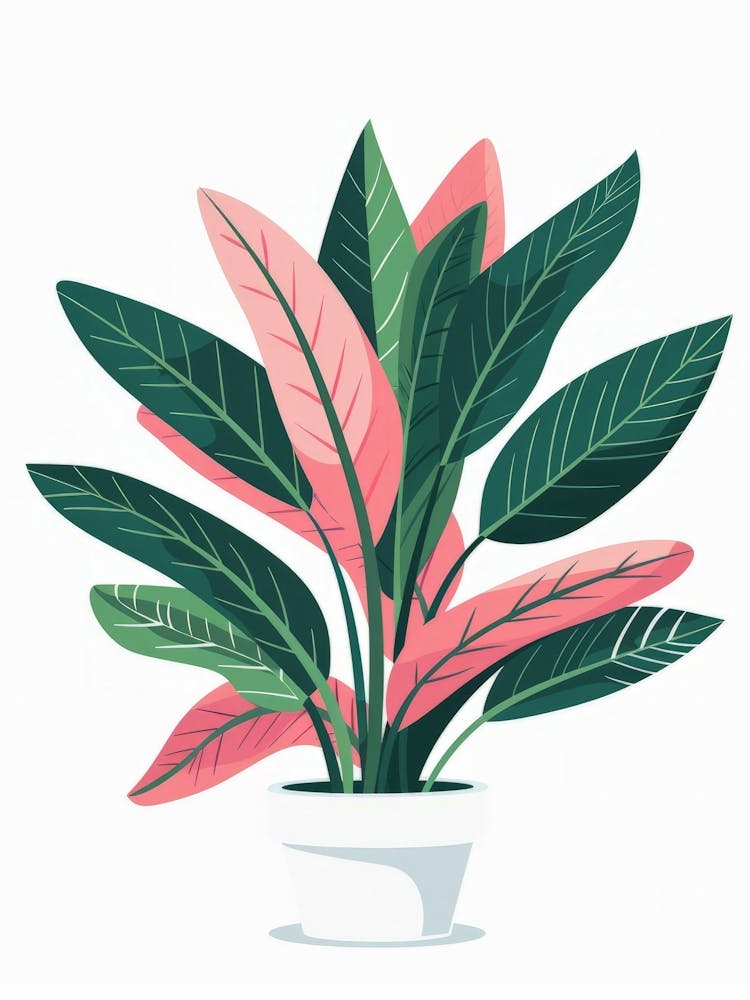Plant In A Pot 25