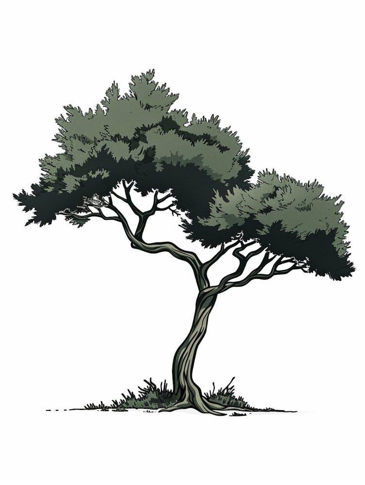 Cedar Tree Pixel Illustration 4