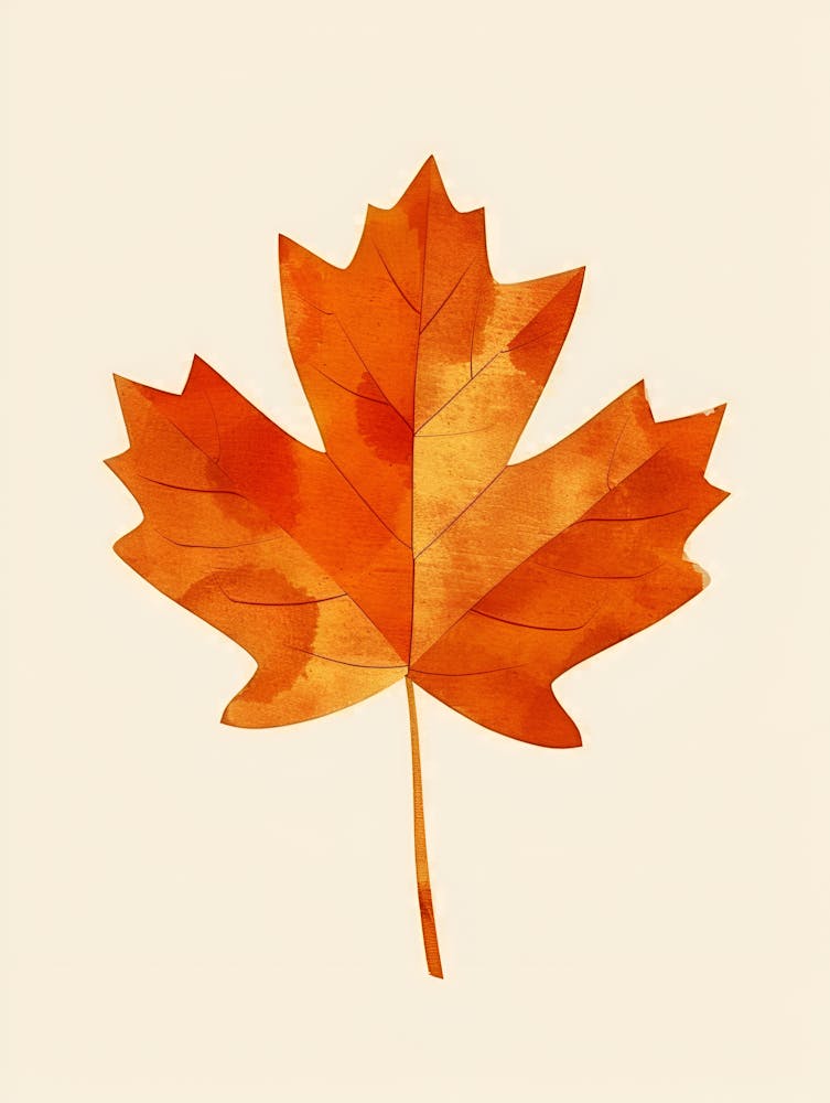 Maple Leaf