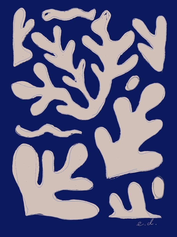 Blue And Pink Seaweed