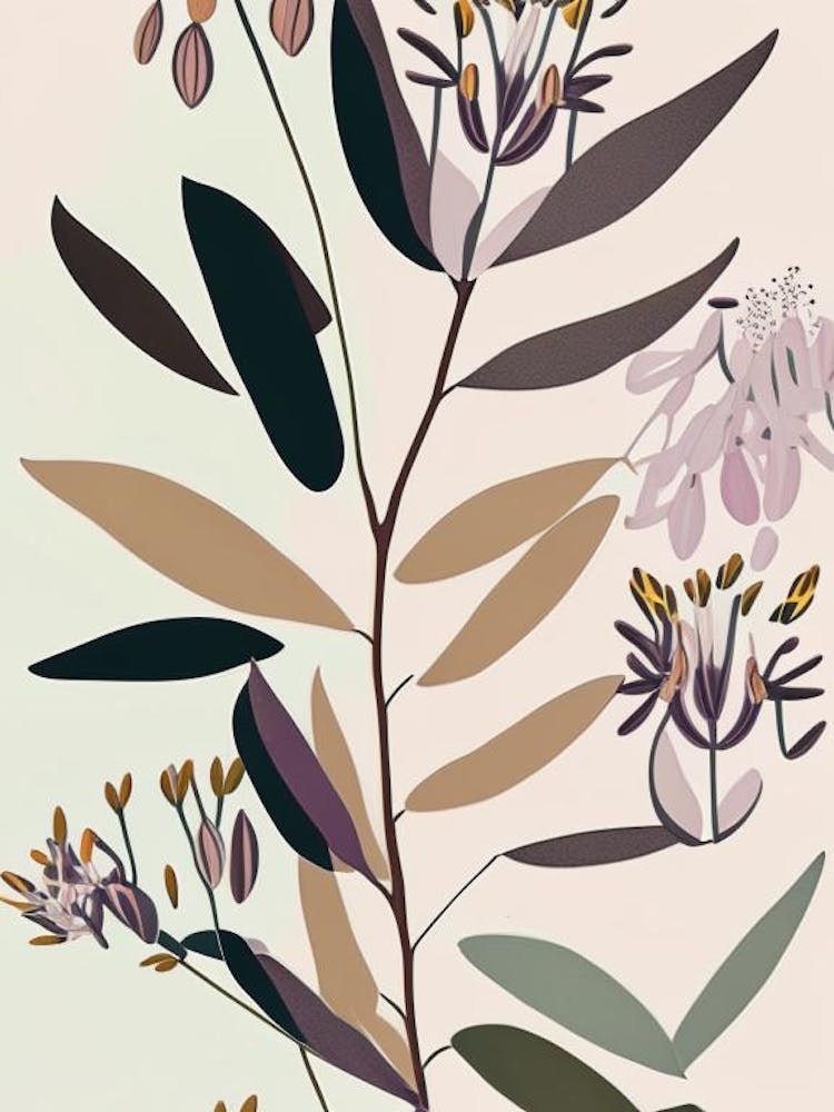 Showy Milkweed Wildflower Modern Muted Colours 2