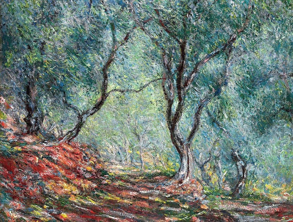 Claude Monet - Olive Grove