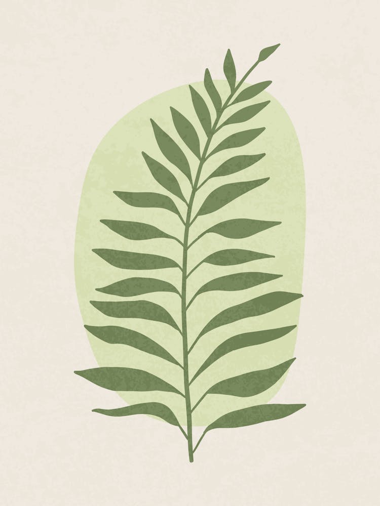 Minimalist Botanical Leaf Illustration