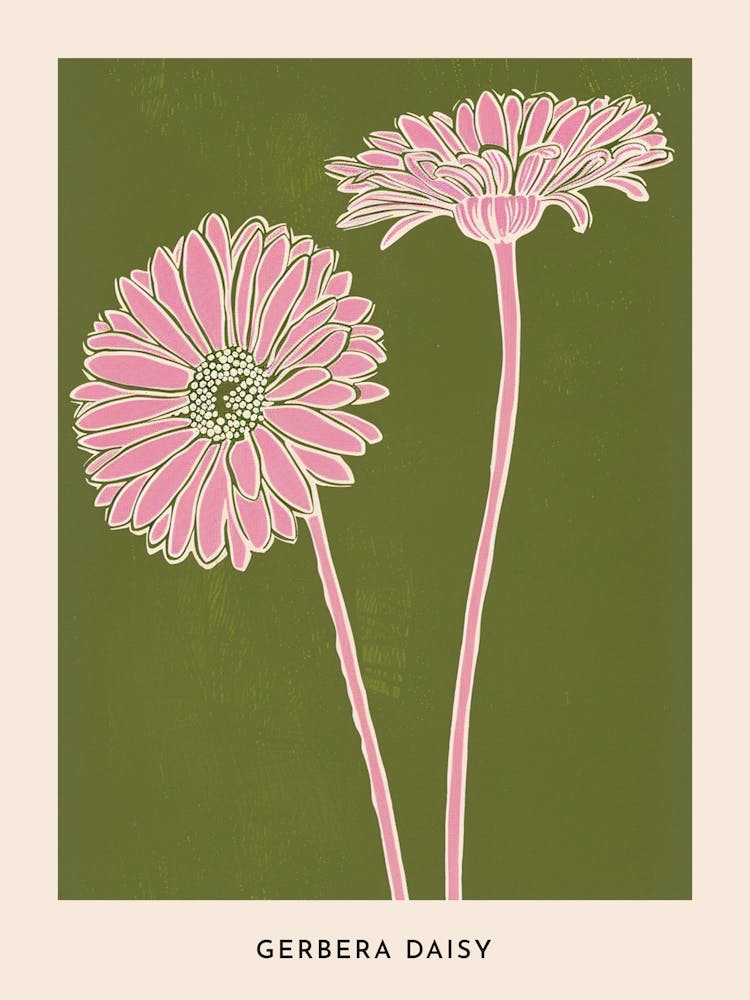 Pink & Green Gerbera Daisy 1 Flower Poster