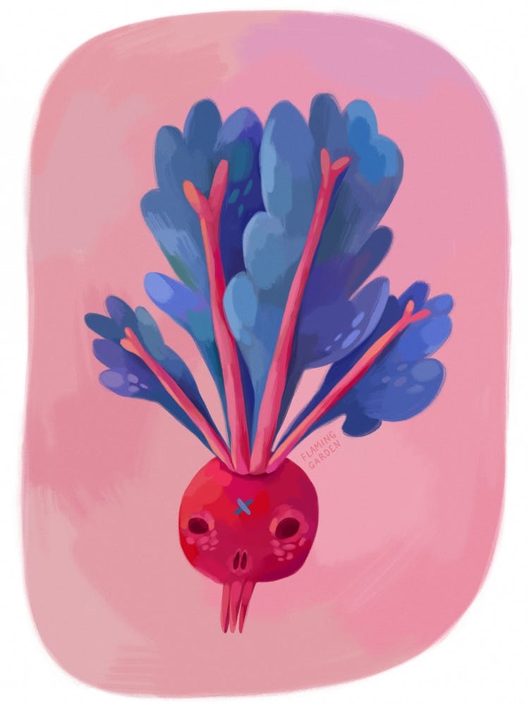 Beetroot Skull