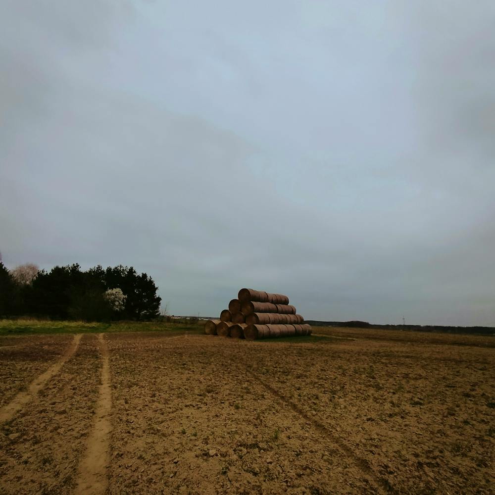 Agriculture de Pologne