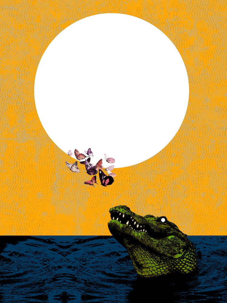 Crocodile and Butterflies