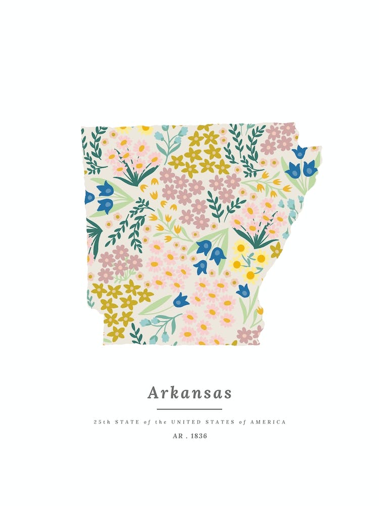 Arkansas | Wildflower Mix