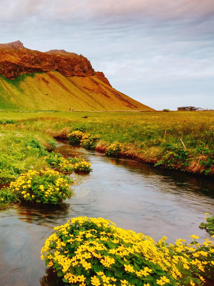 Iceland - Nature Stock Videos & Royalty-Free Footage