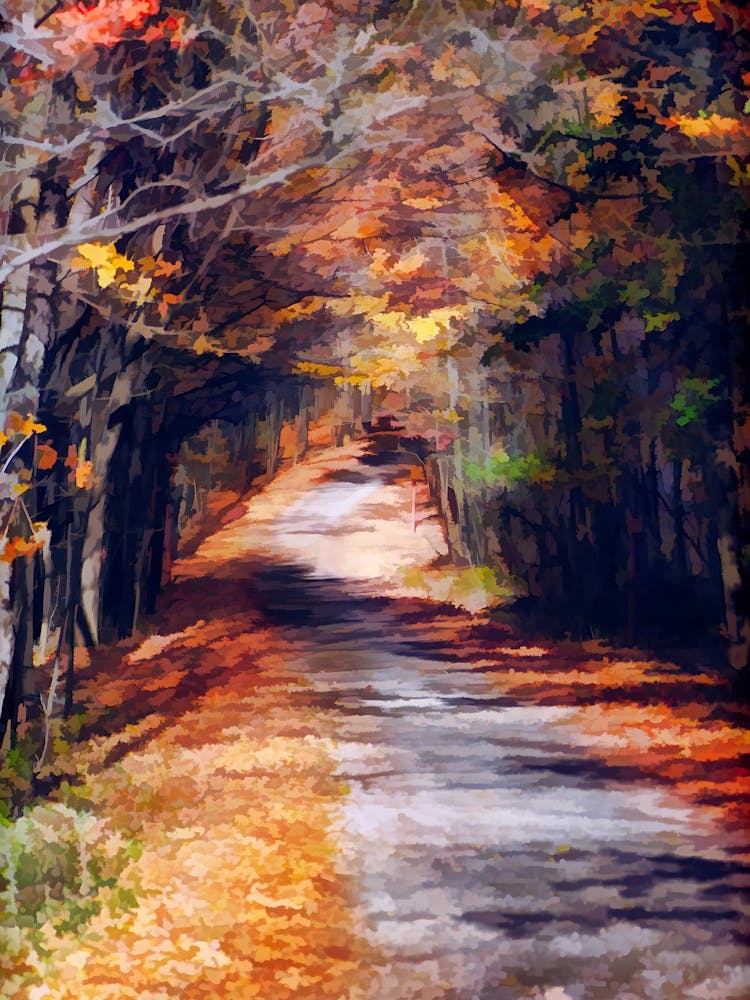 Autumn Road