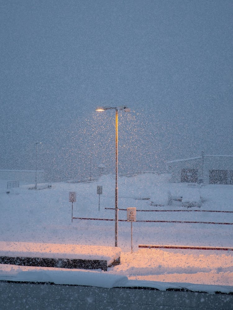 Snowy Lamppost