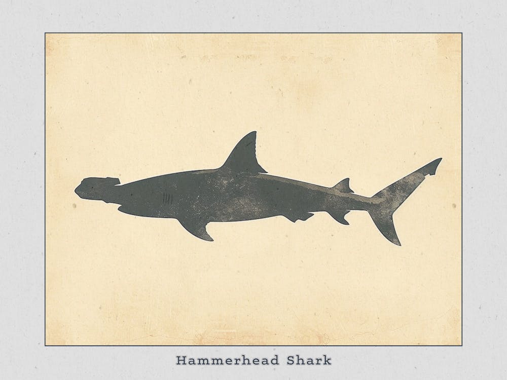Hammerhead Shark Grey Silhouette 2 Poster
