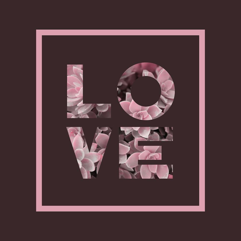 Succulent Love