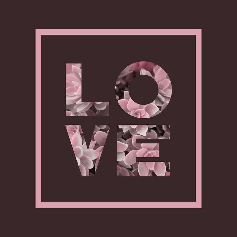 Succulent Love