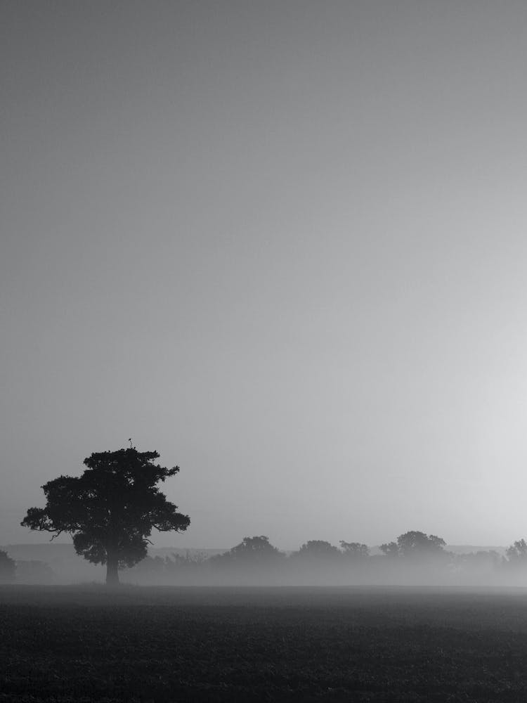 Dawn Haze - Essex England