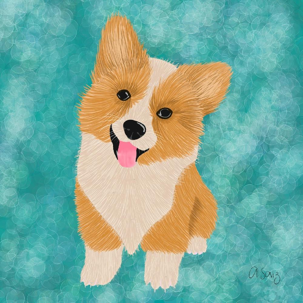 Corgi Puppy. 1