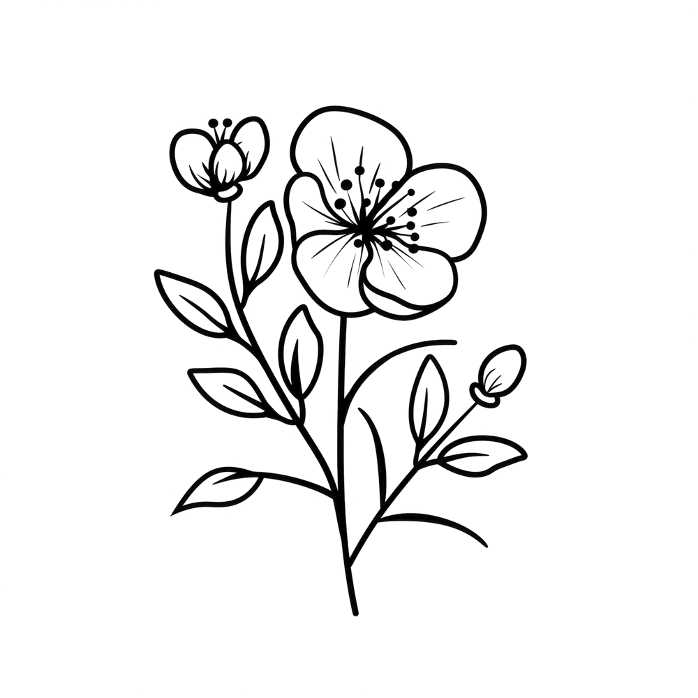 Hawthorn May Birth Month Flower