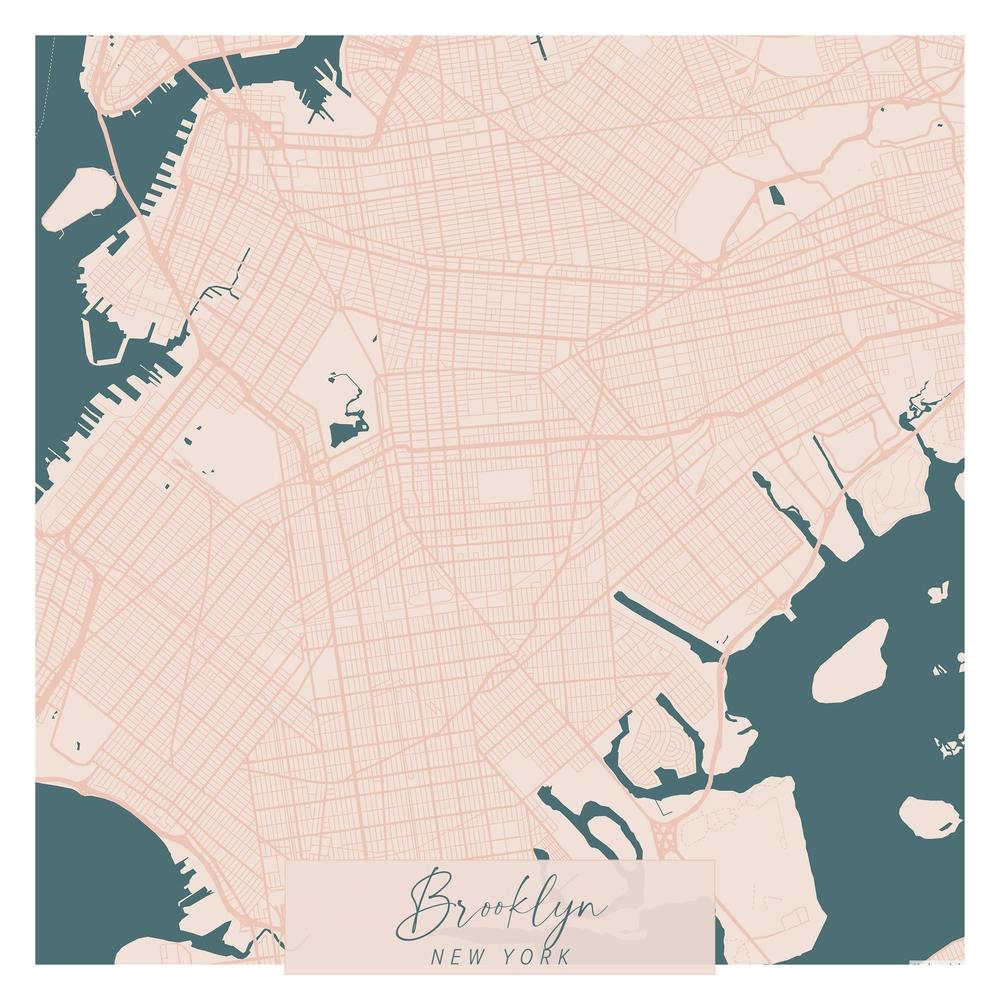 Brooklyn New York Pink and Blue Cute Script Street Map