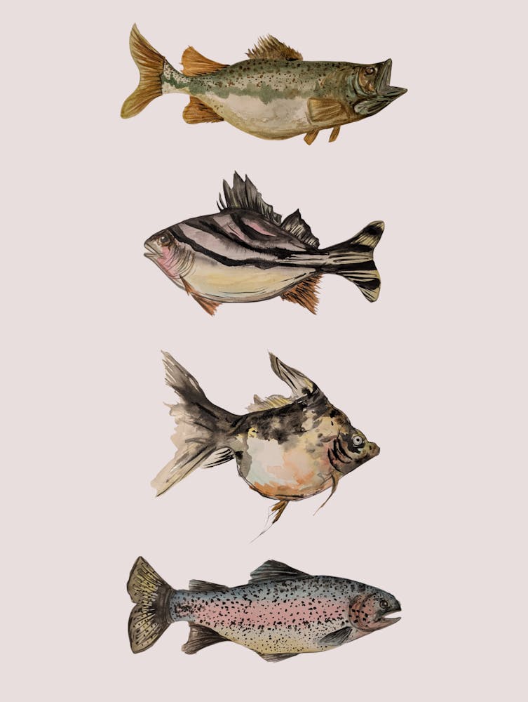 Four Fish Nautical