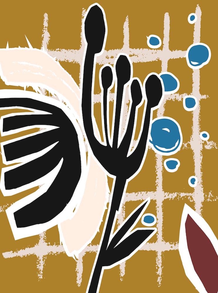 Cut Outs Shapeart Digital