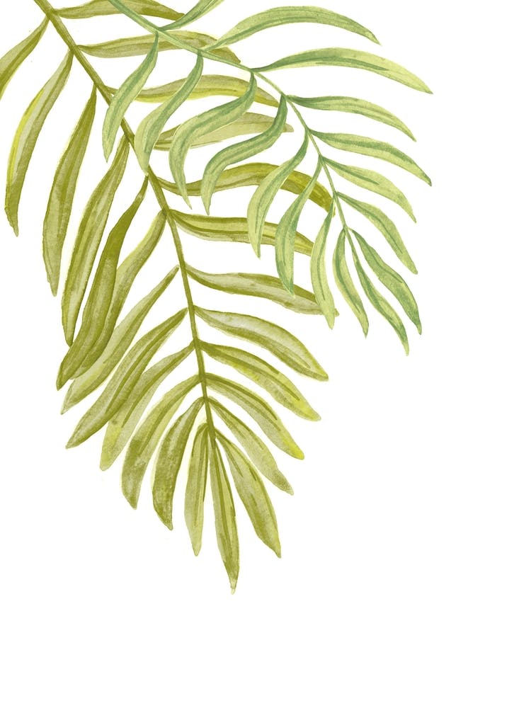 Aquarell Tropisches Blatt auf Weiß