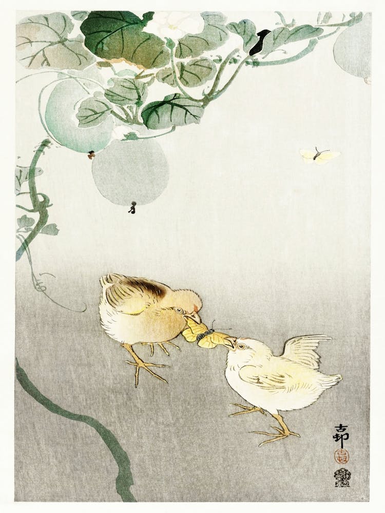 Two Chicks Fighting For A Butterfly (1900 1910), Ohara Koson