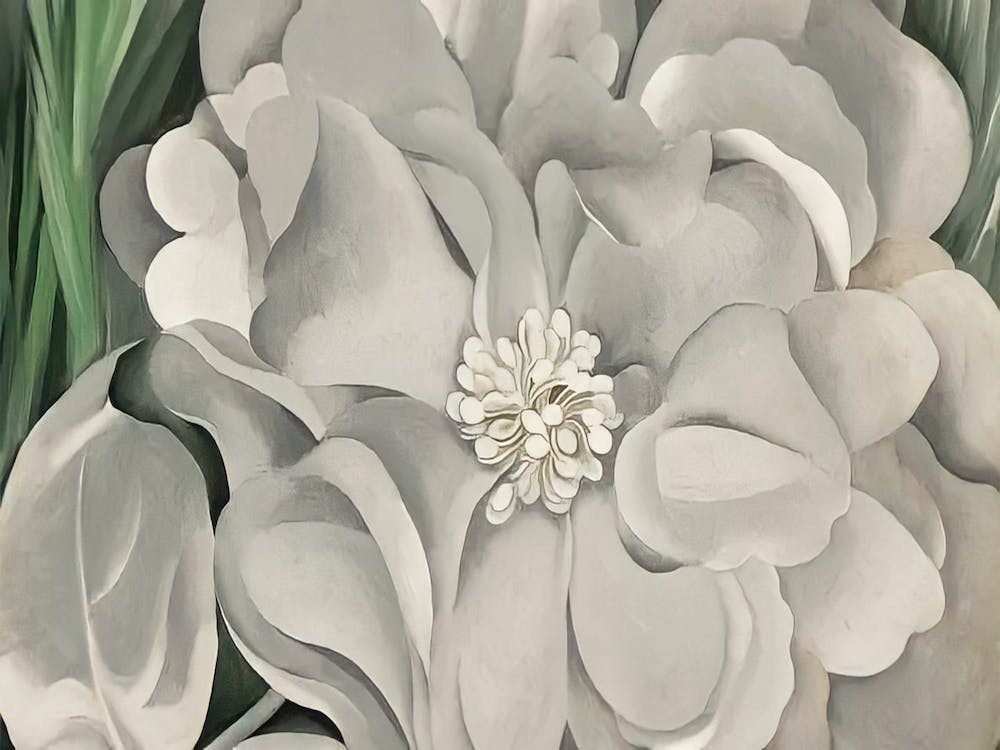 Georgia O'Keeffe - The White Calico Flower