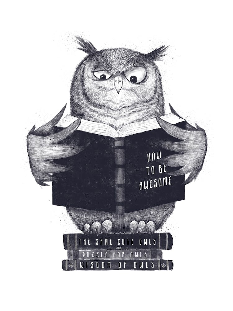 Wisdom Owl