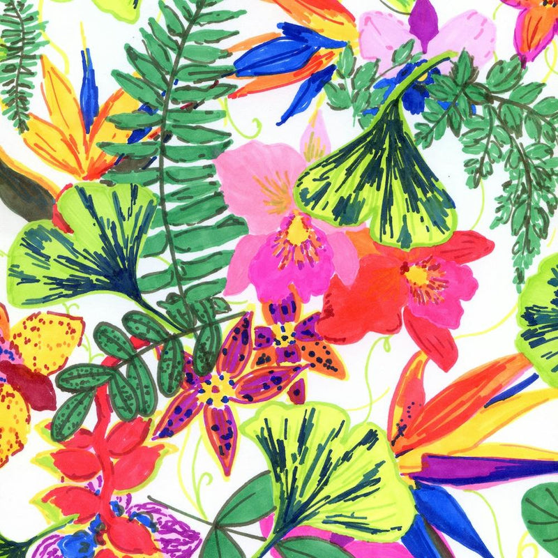 Tropical Flowers
