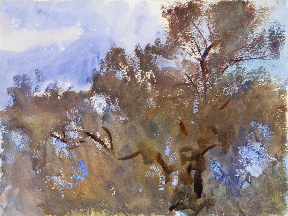 Treetops Against Sky, John Singer Sargent