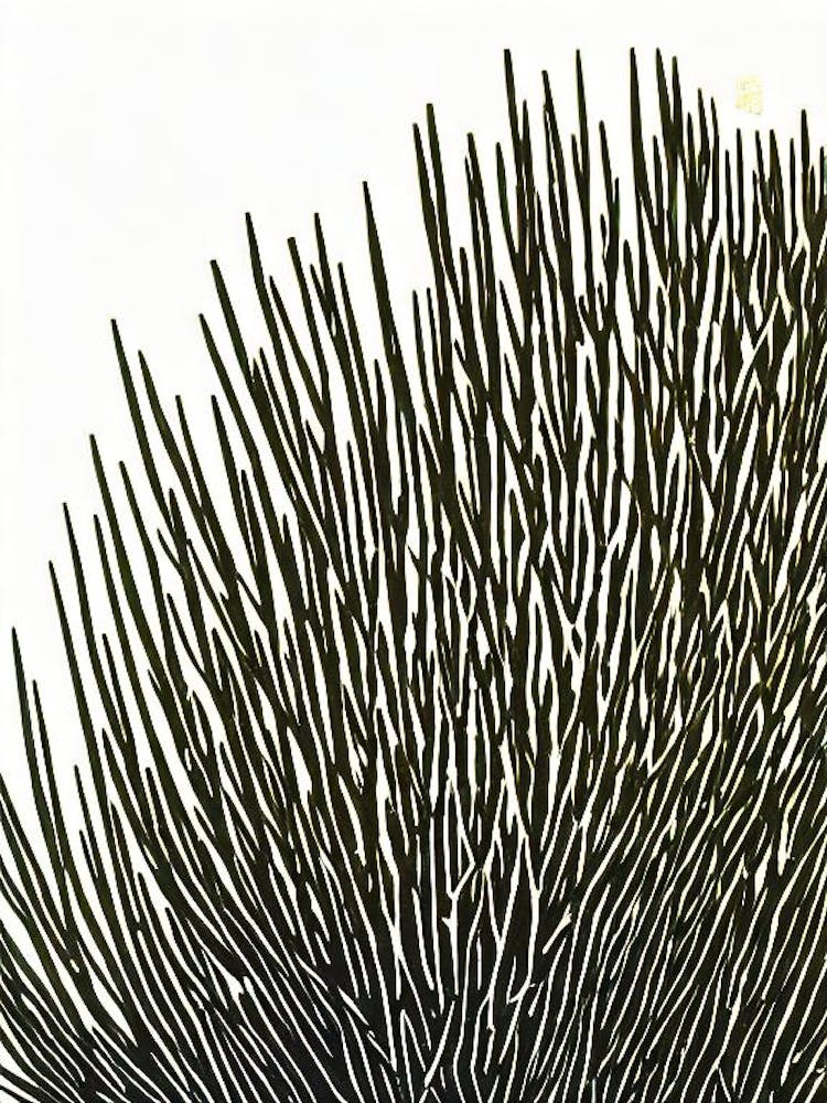 Acropora Efflorescens Linocut
