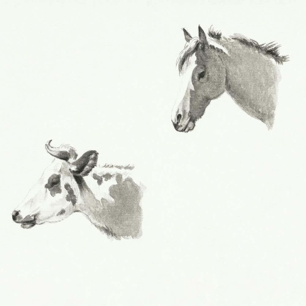 Head Of A Horse And The Head Of A Cow, Jean Bernard