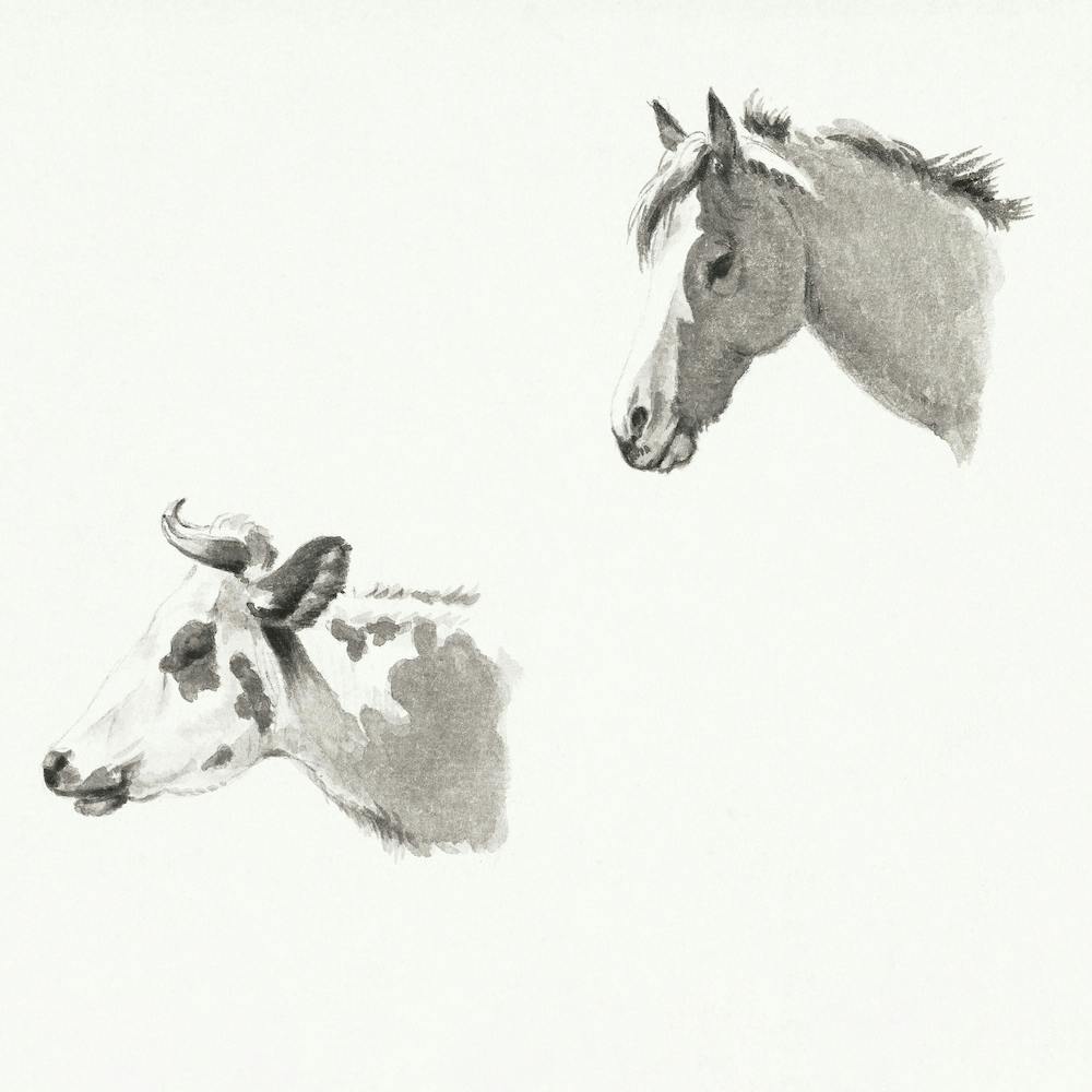 Head Of A Horse And The Head Of A Cow, Jean Bernard