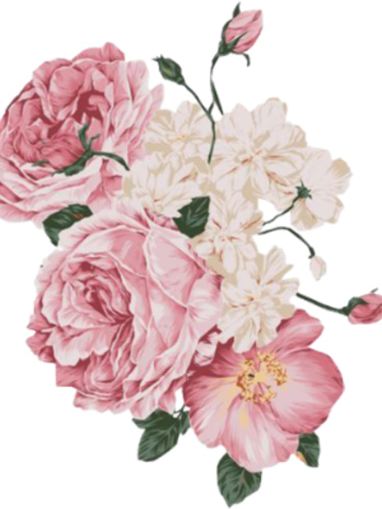 Pink Roses 6