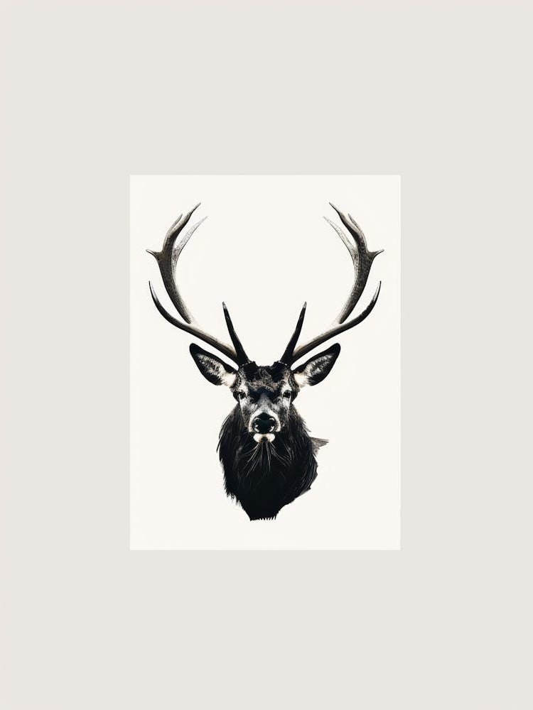 Deer Head 13