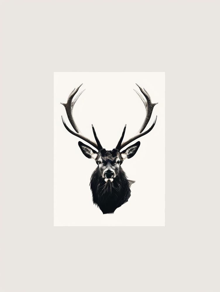 Deer Head 13